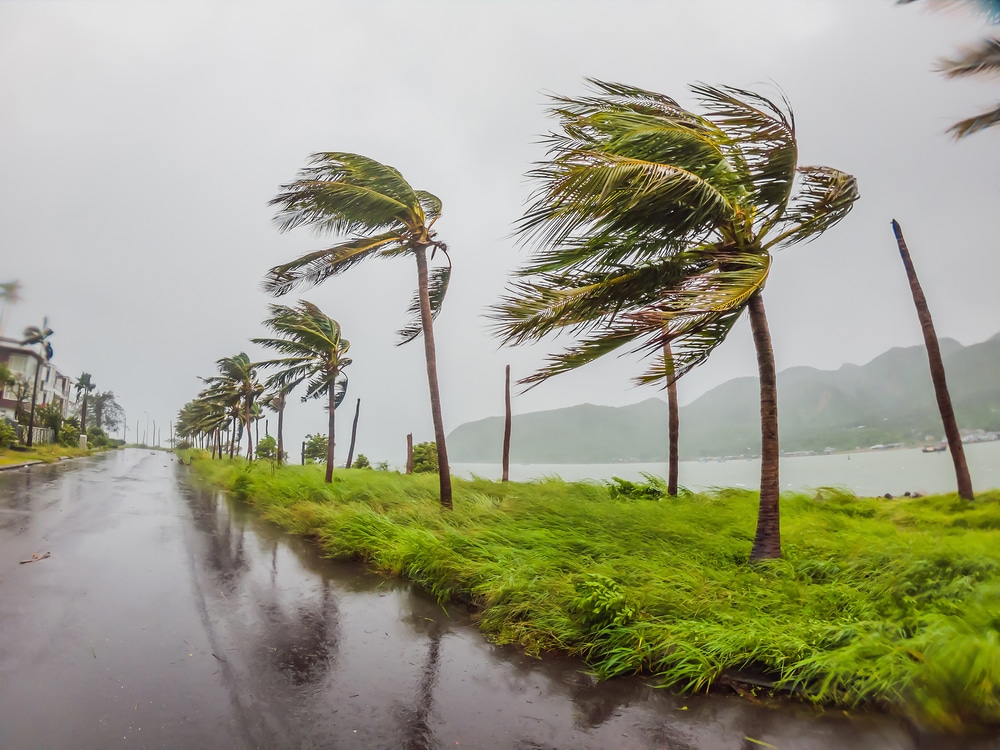 Hurricane on rainy coast